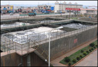 ������Ŀ