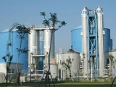 白龙港污水处理厂污泥处理工程