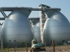 白龙港污水处理厂污泥处理工程