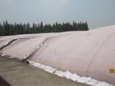 朱家角膜法好氧发酵工程