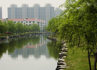 根本解决内涝需要水环境的彻底改善