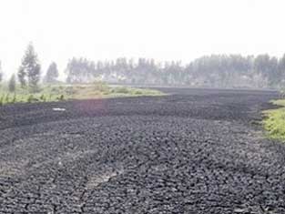 佛山高明区非法倾倒2万吨污泥