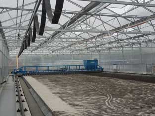 各类技术投入生产—太阳能污泥处理干化系统