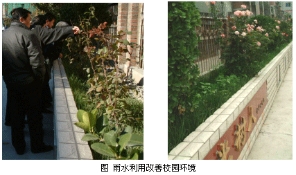 雨水利用