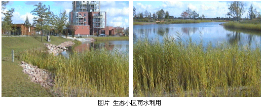 雨水利用